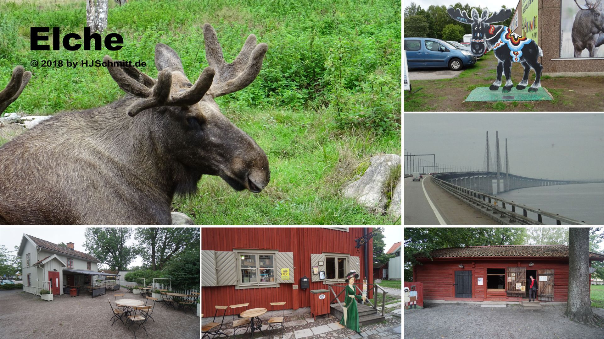 Elche - 6er Fotos 1920x1080