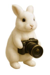 Hase mit Kamera in der Hand