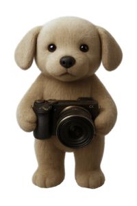 Hündchen hält eine Kamera.